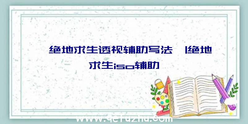 「绝地求生透视辅助写法」|绝地求生iso辅助